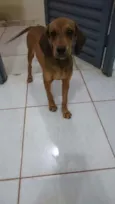 Não tem nome.