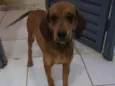 Não tem nome.