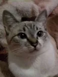 Maggie