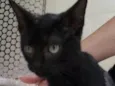 George