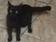 Quit