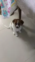 Mel