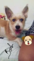 Bob