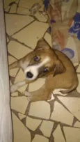 Boris