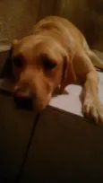 Mel
