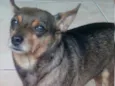 Piter