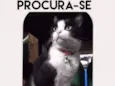 Nina