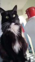 Tom