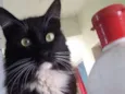 Tom