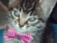 Mimi