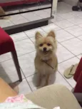 Bob