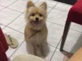 Bob