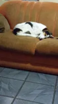 Nina