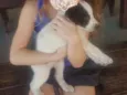 ainda sem nome
