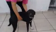Nina
