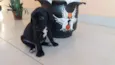 Não tem nomes