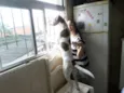 yuki