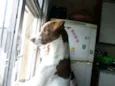 yuki
