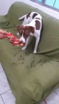 yuki
