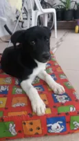 Aruna