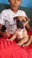 CARAMELO