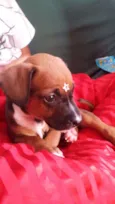 FOFURINHA
