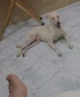 Spike
