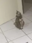 Radija