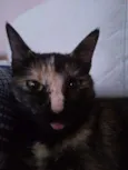 Radija