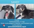 Sandy Pequena