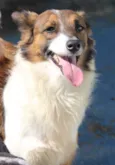 Molly