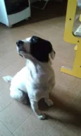 Lola