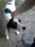 Lola