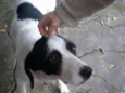 Lola