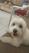 Sneaky