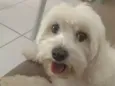 Sneaky