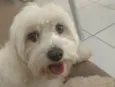 Sneaky
