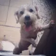 Bebê 