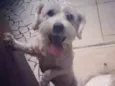 Bebê 