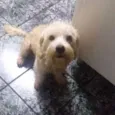 Bebê 