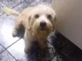 Bebê 