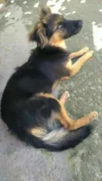 Boby