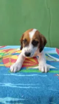 TEO