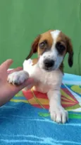 TEO