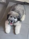 Spike