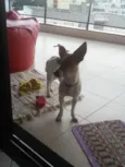 Lupita