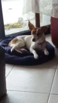 Lupita