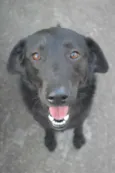 Chicó