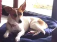 Lupita
