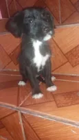 Ainda não tem nome